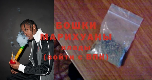 индика Володарск