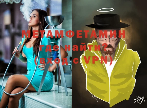 индика Володарск