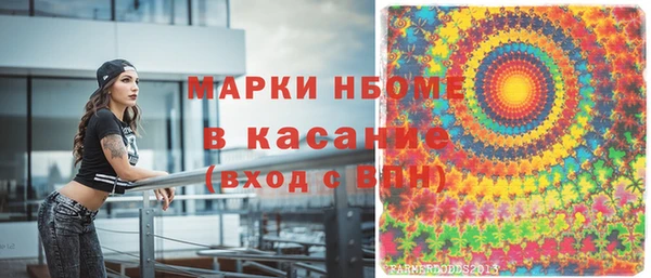 индика Володарск
