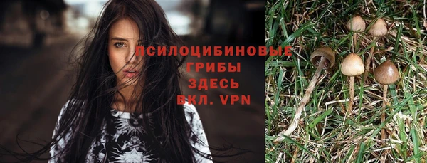 индика Володарск