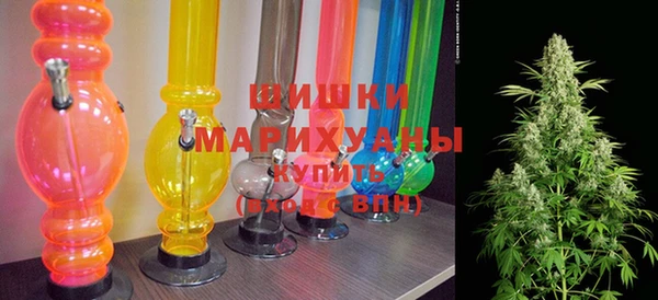 индика Володарск