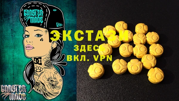 индика Осташков
