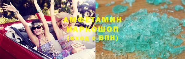 индика Володарск