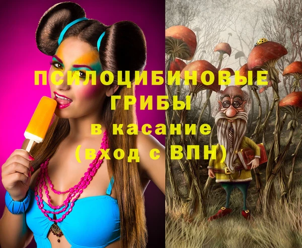молекула духа Горно-Алтайск