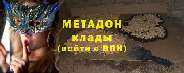 индика Володарск